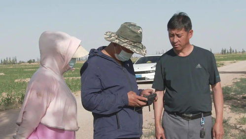 騰格里經(jīng)濟技術(shù)開發(fā)區(qū) 無人機撒藥技術(shù)開發(fā)助力農(nóng)業(yè)提質(zhì)增收